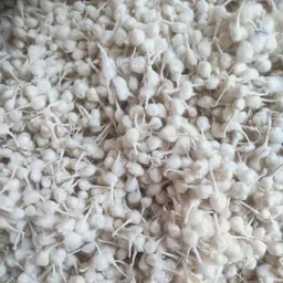 Cotton Wicks/Long Diya Batti for Daily Used in Pooja/Festival sett Cotton Wick-image-78