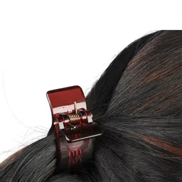 AccessHer Women Set Of 6 Claw Clips image 5