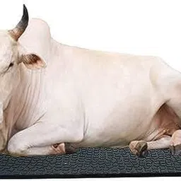 ursus Cow Mat, Mat for Cow, Buffalo, Bull,Horse & All Animal( black) Cow, Dog, Guinea Pig, Hamster, Miniature Pig Pet Mat-picture-24