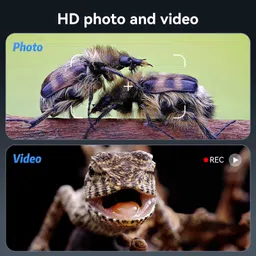 7" LCD Digital Microscope 1200X, 4K Coin Microscope Magnifier image 4