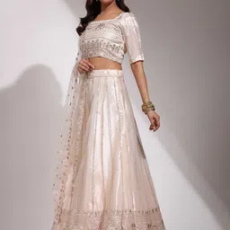 Fabcartz Embellished Sequinned Semi-Stitched Lehenga & Unstitched Blouse With Dupatta image 4