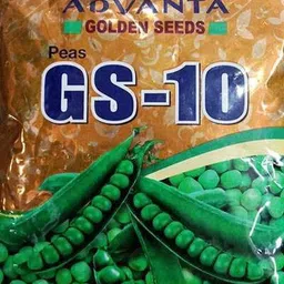 f1 hybrid upl advanta gs 10 pea Seed-image-14