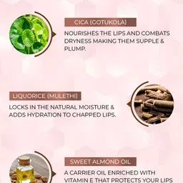 Just Herbs Set of 3 Matte Liquid Lipstick 6 ml-Dusty Rose, Liquorice Brown & Raisin Rust image 4