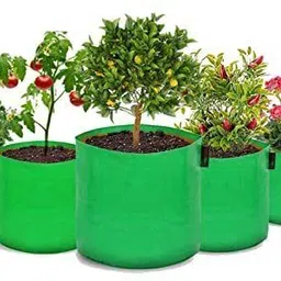 Green Grow Bag 18x18 inches, (Pack of 2), Large bag for Terrace gardening Grow Bag-image-19