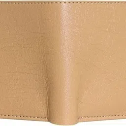 delcy Men Casual Beige Artificial Leather Wallet image 3