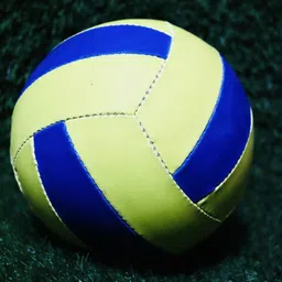 dss Limited Edition Hand Stitched Volleyball for Men & Women Volleyball - Size: 4 image 1