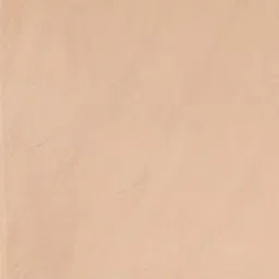 Mitera Peach Floral Beads and Stones Saree image 5