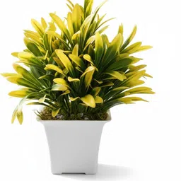 all bizz Yellow green leaf plant Bonsai Artificial Plant with Pot-picture-15