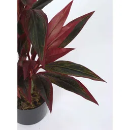 arick decor 2.4Ft Artificial Dracaena With Black Pot Natural Leaves Pre-Potted image 4