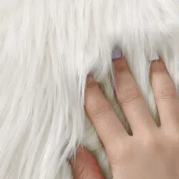 TANLOOMS Cream-Coloured 2 Pieces Quirky Fur Rectangle Cushion Covers image 4