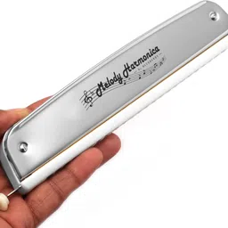 festra R-2403,Harmonica 48-Tone Scale-Changer 24 Hole Key of C Mouth organ With Case image 4