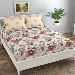 florida Cream Floral 144 TC Cotton King Sized Bedsheet Bedsheet 2 Pillow Prime Collection image 2