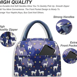 flexible Pack of 2 Lunch Bag | Thermal Insulated and Waterproof Waterproof Lunch Bag image 4