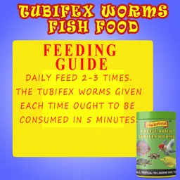 hallofeed SPECIAL TUBIFEX WORMS 12gm Sea Food 0.012 kg Dry Adult Fish Food image 4