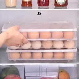 khodal Egg container Egg Holder image 2