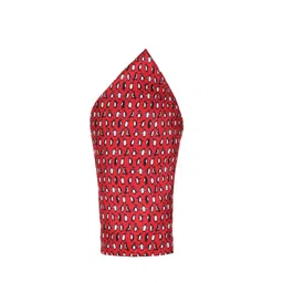 Alvaro Castagnino Men Red & White Printed Silk Pocket Square image 4