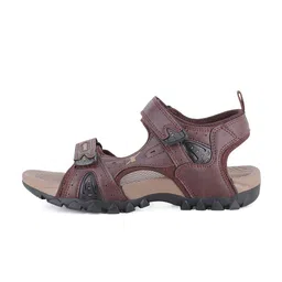Sparx Men Brown Solid Sports Sandals image 2