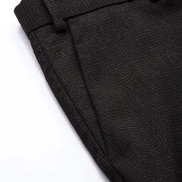 Raymond Men Checked Slim Fit Mid-Rise Formal Trousers image 2