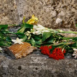 Gucci Bloom Profumo Di Fiori Eau De Parfum For Her image 5