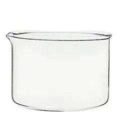 NSAW Evaporating Dishes 200 mm (7.87 inch) Flat Bottom Glass With Spout (Pack of 10)-picture-47