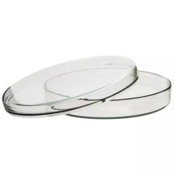 NSAW Petri Dishes 90 mm (3.54 inch) Flat Bottom Glass (Pack of 10)-picture-15