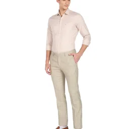 Arrow Beige Cotton Slim Fit Checks Shirt image 5