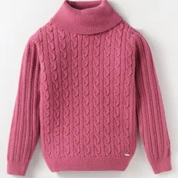 Yellow Apple Viscose Knit Full Sleeves Sweater with Cable Knit Design - Dark Pink-image-68
