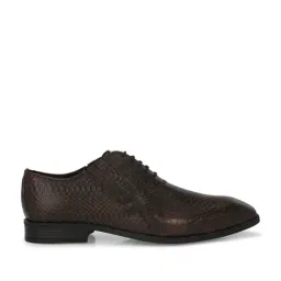 Carlo Romano Men's Brown Oxford Shoes-picture-13