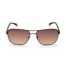 Police SPLE51K59A22SG Brown Aviator image 1