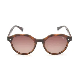 IDEE IDS2718C3PSG Brown Round Sunglasses image 1