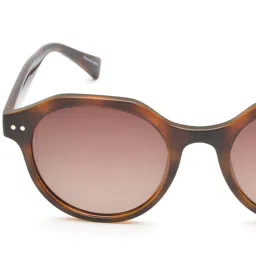 IDEE IDS2718C3PSG Brown Round Sunglasses image 4