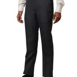 Park Avenue Grey Regular Fit Checks Trousers image 3