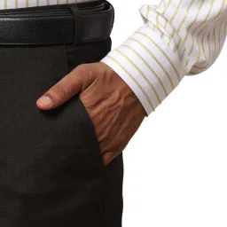 Raymond Brown Slim Fit Checks Trousers image 5