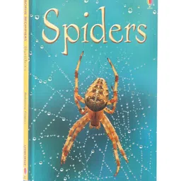 Usborne Spiders - English image 1