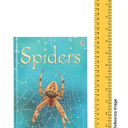 Usborne Spiders - English image 3