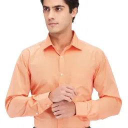 Park Avenue Orange Slim Fit Striped Shirt-picture-34