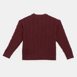 Tommy Hilfiger Burgundy Cotton Regular Fit Textured Sweater image 2