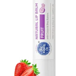 The Moms Co. Natural Fruit Lip Balm - 5 gm-image-0