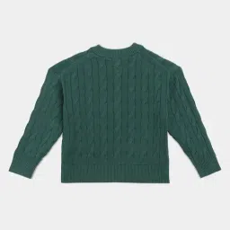 Tommy Hilfiger Green Cotton Regular Fit Textured Sweater image 2