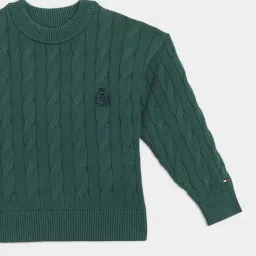 Tommy Hilfiger Green Cotton Regular Fit Textured Sweater image 3