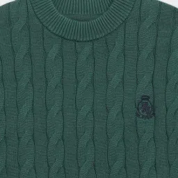 Tommy Hilfiger Green Cotton Regular Fit Textured Sweater image 4