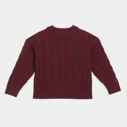 Tommy Hilfiger Burgundy Cotton Regular Fit Textured Sweater-image-88