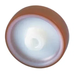 LAG Brown, White Polyurethane Hygienic, Low Rolling Resistance, Non-Marking Trolley Wheel, 550 Kg, 9054-picture-18