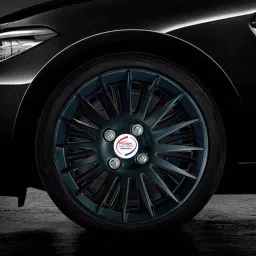 Auto Pearl R13 Press Type With Retention Ring PTAC17 Wheel Cover for Daewoo Matiz 45.7 cm image 5