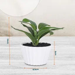 Ekhasa Green 1 Pieces Artificial Plant With Pot image 4