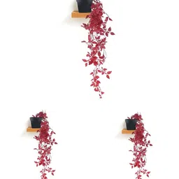 paperi Red 3 Pieces Hanging Artificial Plant With Pot-image-54