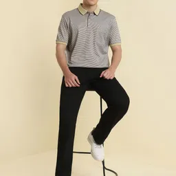 Allen Solly Men Striped Polo Collar Cotton T-shirt image 2