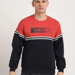 Turtle Multicolor Relaxed Fit Logo Printed Sweatshirt-picture-12