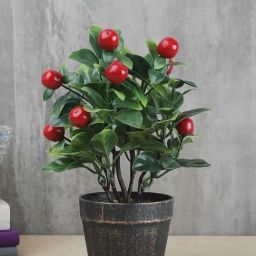 Foliyaj Green & Red Plastic Artificial Cherry Bonsai Tree With Pot-picture-37