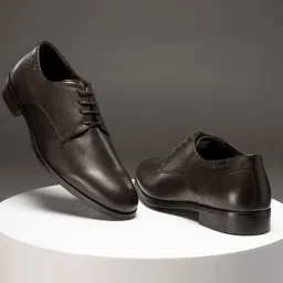 Red Tape Men's Brown Derby Shoes-picture-42